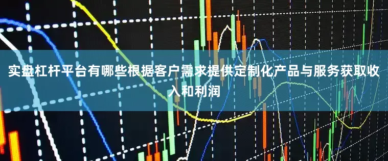 实盘杠杆平台有哪些根据客户需求提供定制化产品与服务获取收入和利润