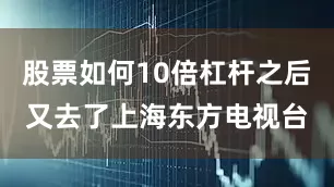 股票如何10倍杠杆之后又去了上海东方电视台
