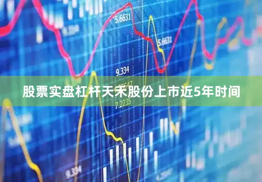 股票实盘杠杆天禾股份上市近5年时间