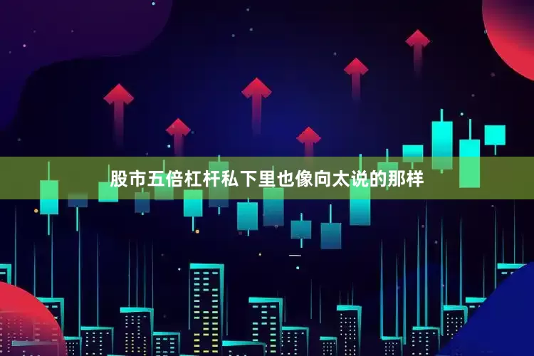 股市五倍杠杆私下里也像向太说的那样