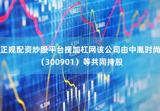 正规配资炒股平台搜加杠网该公司由中胤时尚（300901）等共同持股